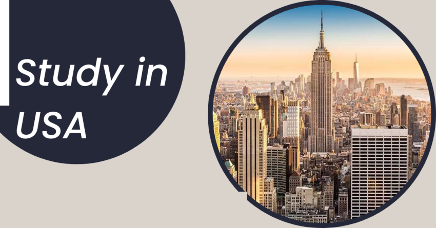 immigration consultants